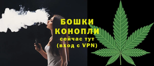 МДПВ Новодвинск
