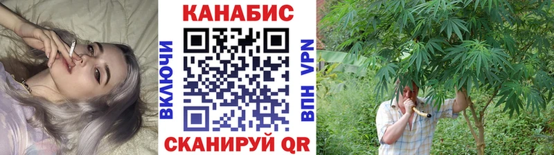 Канабис Bruce Banner  Купить  Кашира 